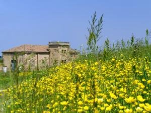 The pathway of the old water pumps 