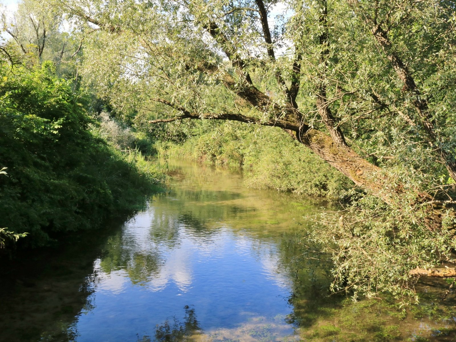 La Palude In Cui Ercole Uccise Idra